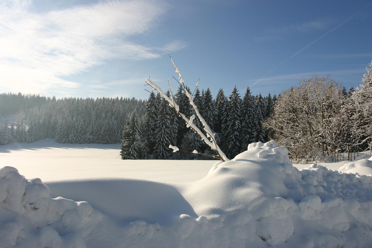 Jeleni Chata Skladanka Lučany nad Nisou Dış mekan fotoğraf